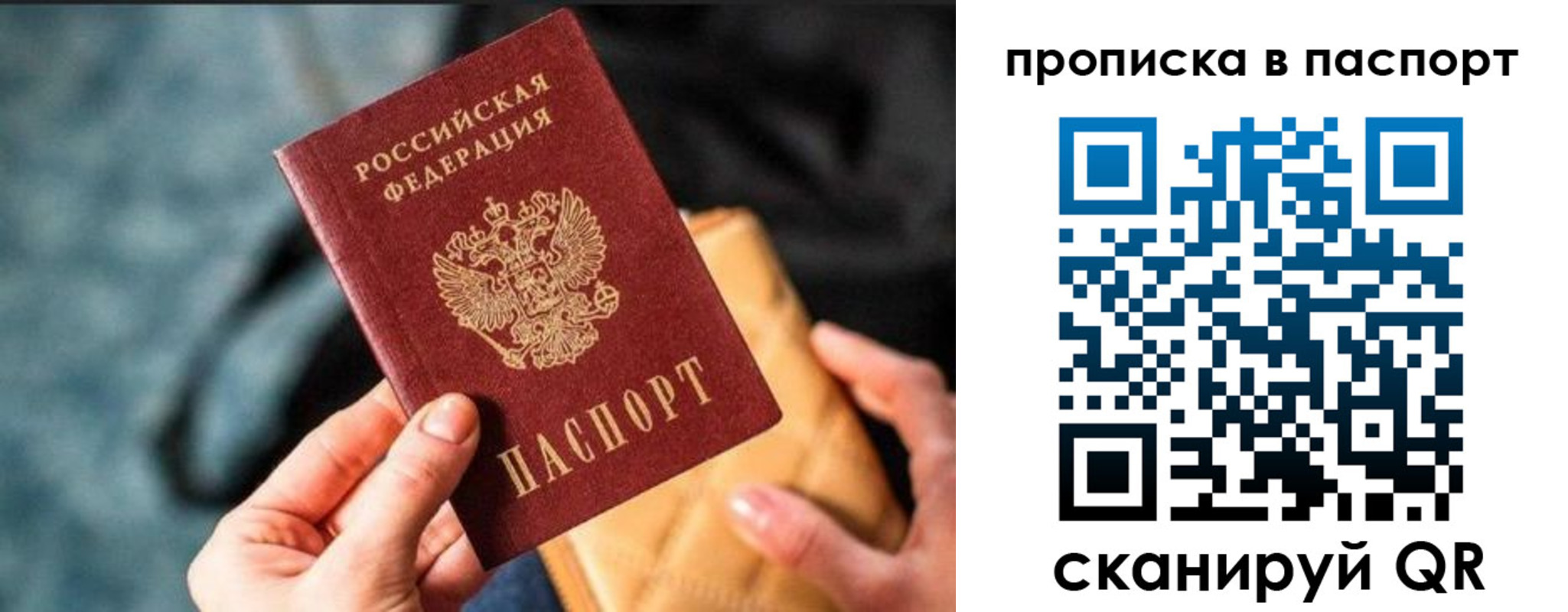найти адрес прописки в Елизово